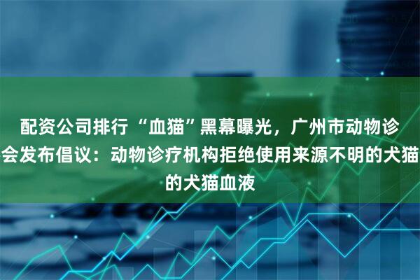 配资公司排行 “血猫”黑幕曝光，广州市动物诊疗协会发布倡议：动物诊疗机构拒绝使用来源不明的犬猫血液